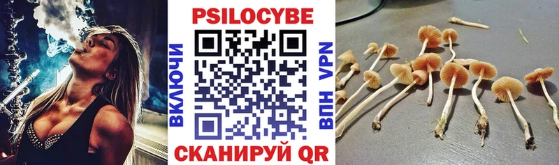наркошоп  Черноголовка  Галлюциногенные грибы Magic Shrooms 